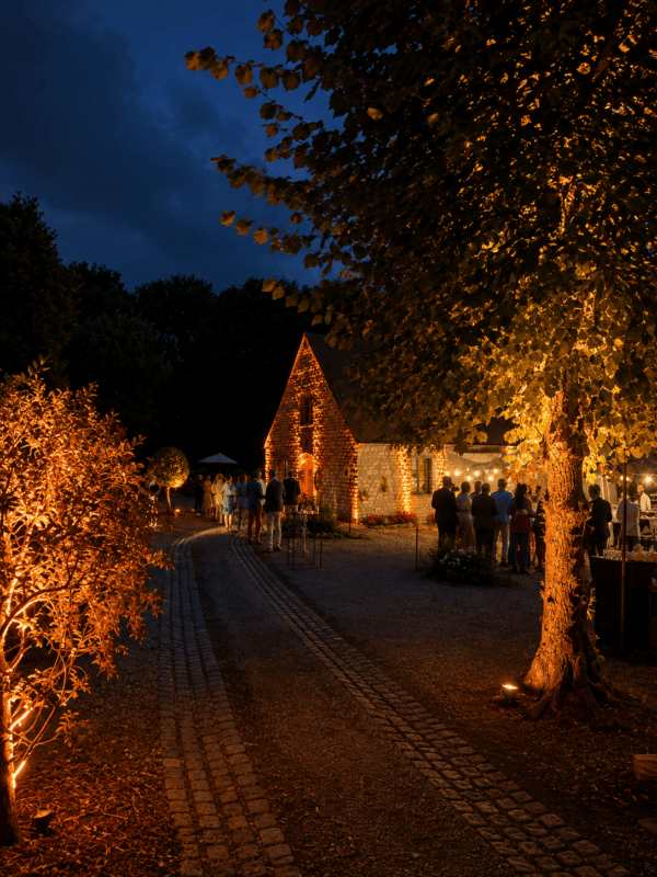Réception avec mise en lumière temporaire du jardin et du bâtiment par RCD Design